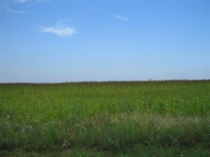 Farm and Ranch in Haskell County, Texas