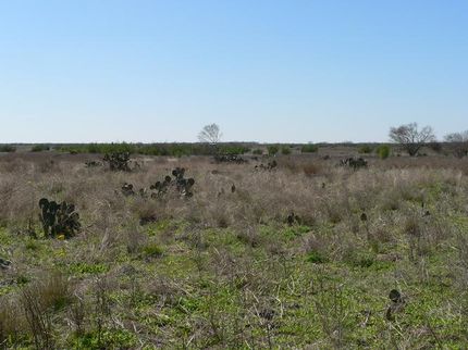 Land in Duval County, Texas