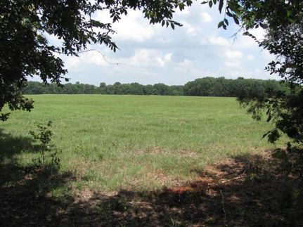 Farm and Ranch in Red River County, Texas