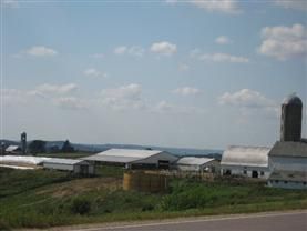 Undeveloped Land in Juneau County, Wisconsin