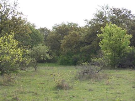 Farm and Ranch in Mills County, Texas