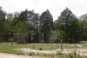 Farm and Ranch in Bastrop County, Texas