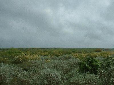 Land in Duval County, Texas