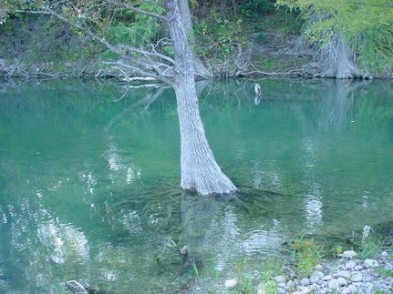 Undeveloped Land in Medina County, Texas