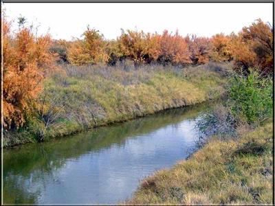 Farm and Ranch in Hudspeth County, Texas