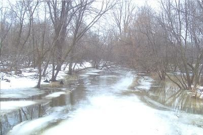 Farm and Ranch in Shiawassee County, Michigan
