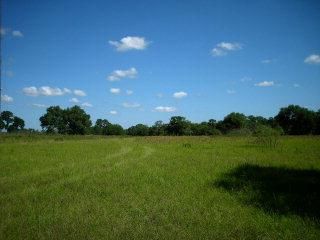 Land in Yoakum County, Texas