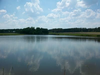 Farm and Ranch in Wilcox County, Georgia