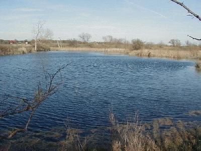 Farm and Ranch in Eastland County, Texas