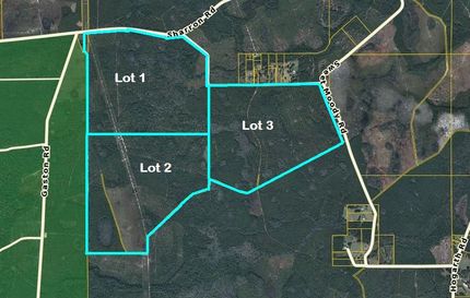 Undeveloped Land in Clay County, Florida