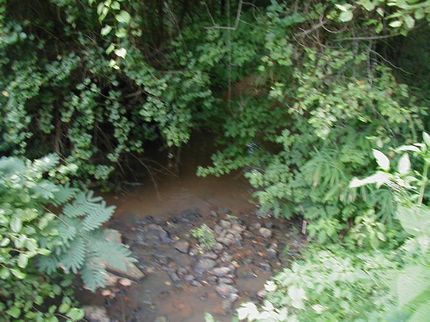 Land in Coweta County, Georgia