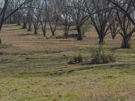 Land in Coweta County, Georgia