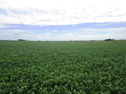 Farm and Ranch in Benton County, Iowa