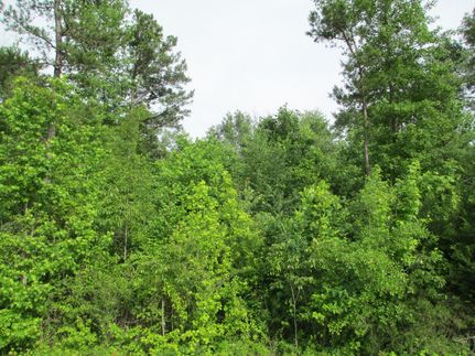 Land in Lee County, Alabama