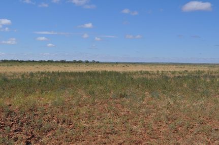 Farm and Ranch in Mitchell County, Texas