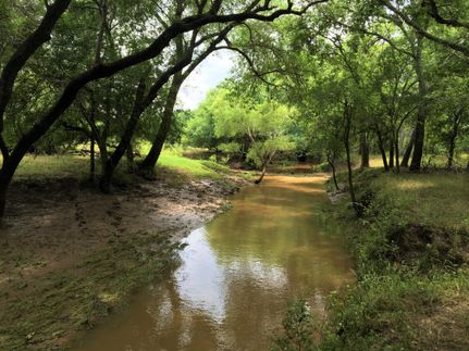 Riverfront Property in Atascosa County, Texas