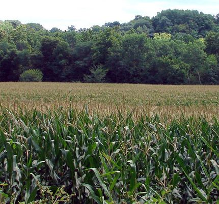 Land in Putnam County, Illinois