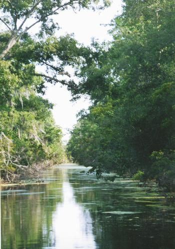 Farm and Ranch in Terrebonne Parish, Louisiana