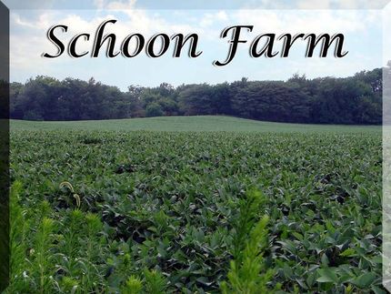 Land in Bureau County, Illinois