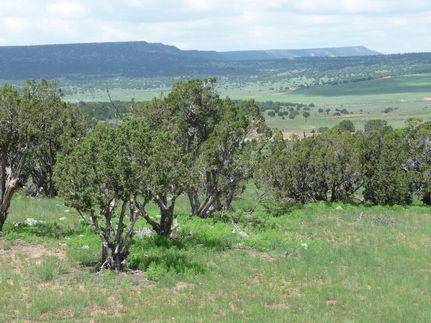 Land in Catron County, New Mexico