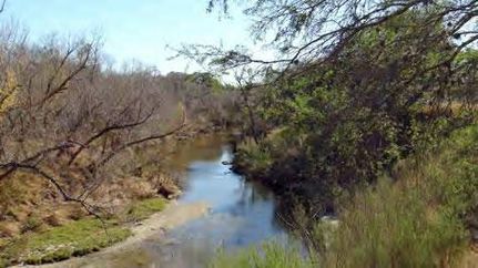 Farm and Ranch in Nueces County, Texas