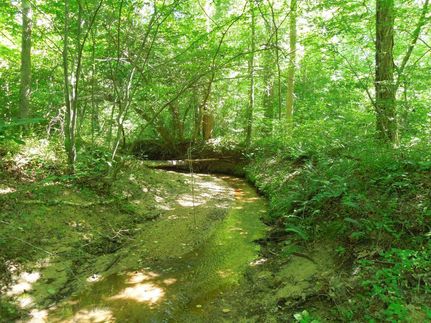 Farm and Ranch in Franklin County, North Carolina