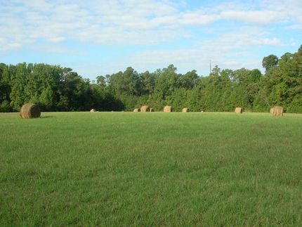 Farm and Ranch in Johnston County, North Carolina