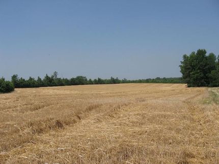 Farm and Ranch in Franklin County, North Carolina
