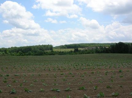 Land in Person County, North Carolina