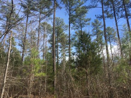 Hunting Property in Durham County, North Carolina