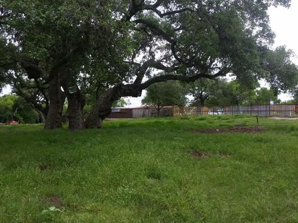 Farm and Ranch in Dewitt County, Texas