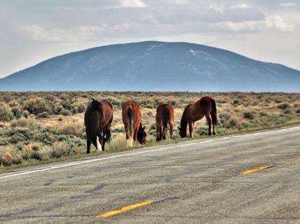 Farm and Ranch in Costilla County, Colorado