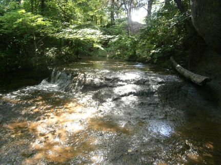 Recreational Property in Pontotoc County, Mississippi