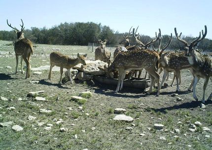 Commercial Property in Edwards County, Texas