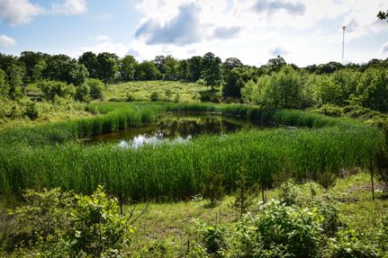 Recreational Property in Hickory County, Missouri