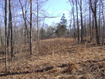 Land in Adair County, Kentucky