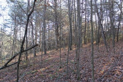 Farm and Ranch in Washington County, Ohio