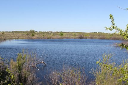 Land in Hamilton County, Texas