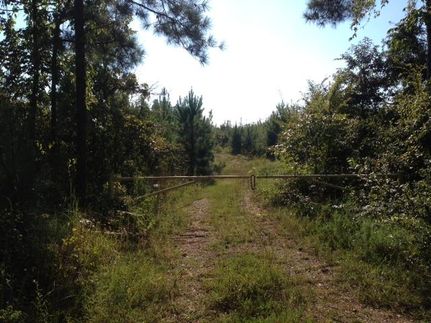 Land in Twiggs County, Georgia