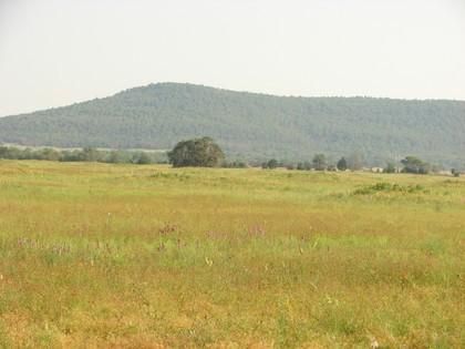 Timberland Property in Atoka County, Oklahoma