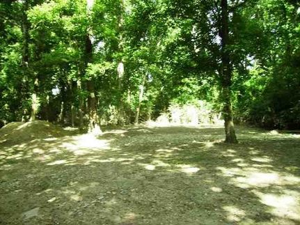 Farm and Ranch in Saline County, Arkansas