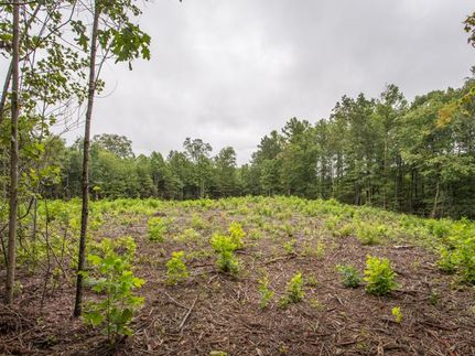 Land in Sequatchie County, Tennessee