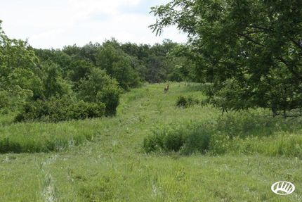Farm and Ranch in Fillmore County, Minnesota