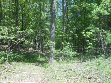 Land in Hampshire County, West Virginia