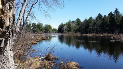 Waterfront Property in Oswego County, New York