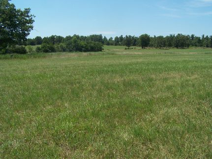 Commercial Property in Randolph County, Arkansas