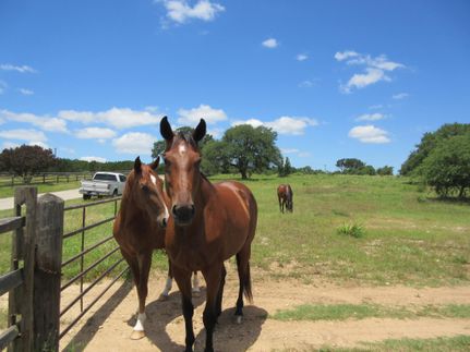 Farm and Ranch in Hays County, Texas