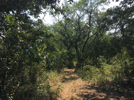 Land in Callahan County, Texas