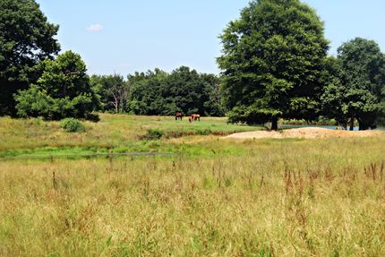 Farm and Ranch in Red River County, Texas