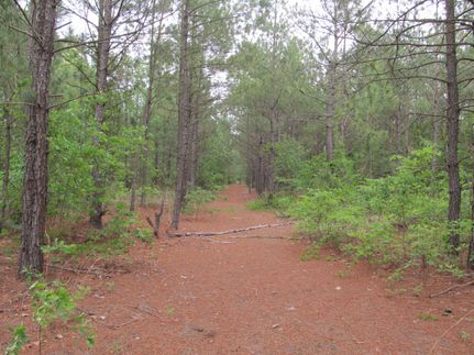 Land in Marlboro County, South Carolina